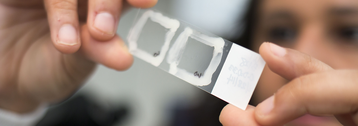 Pathobiology student Laura Martinez looks at a lab-slide. 
