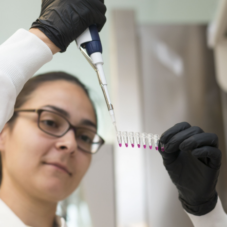 Photo of Pathobiology student Andreia Costa