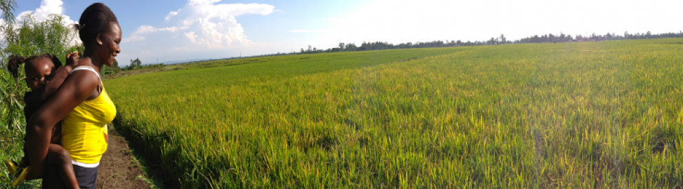 Photo of a field in Kenya