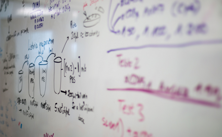 A photo of a white board with lab instructions